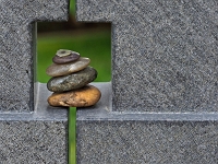 p9213028 f 1  IGA Berlin 2017