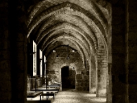 p9221291 sw f 1  Kloster Chorin