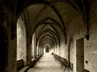 p9223262 sw f 1  Kloster Chorin