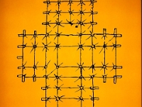 p9221284 f 1  Kloster Chorin