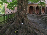 p9223280 f 1  Kloster Chorin