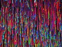 p9202323 f 1  Playground Berlin 2017