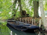 p9231310 f 1  Spreewald