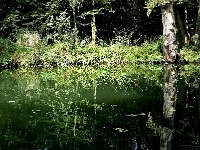 p9231344 c f 1  Spreewald