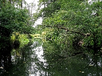 p9231360 c f 1  Spreewald