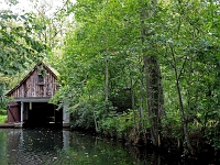 p9231373 c f 1  Spreewald