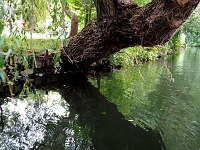 p9231374 c f 1  Spreewald