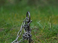 p9233618 f 1  Spreewald