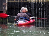 p9233653 f 1  Spreewald
