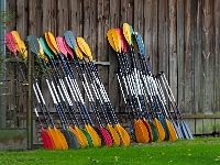 p9233672 f 1  Spreewald