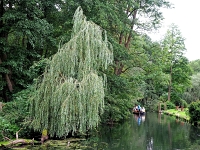 p9233683 f 1  Spreewald