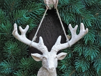 p4146253 1  Kronenburg