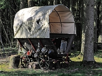 p4156537 1  Greifvogelstation und Wildfreigehege Hellenthal