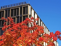 Herbst  Arnulfpark München