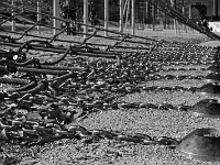 Stadtlandschaft  Arnulfpark München