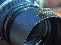 Neugier  Arnulfpark München